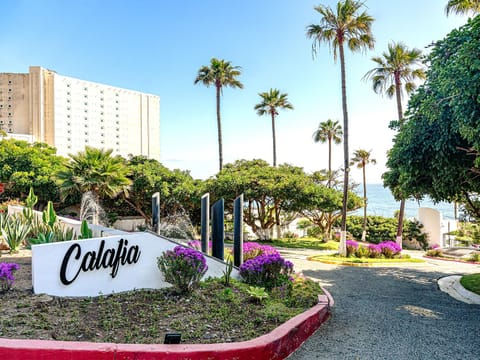 Calafia Condos Apartment hotel in State of Baja California