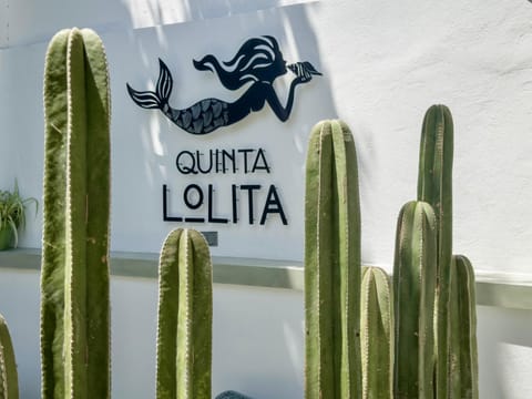 Quinta Lolita Hotel in La Paz