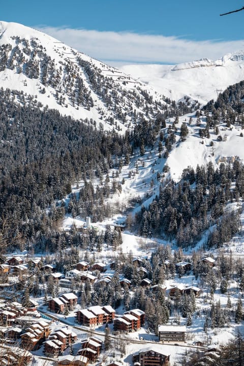 Natural landscape, Winter