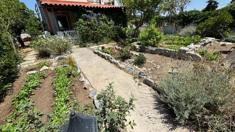 Property building, Garden, Inner courtyard view