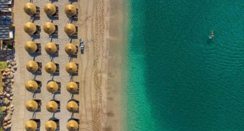 Natural landscape, Bird's eye view, Beach, sunbed