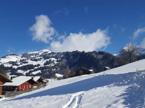 Apartment Burkhalter by Interhome Apartment in Saanen