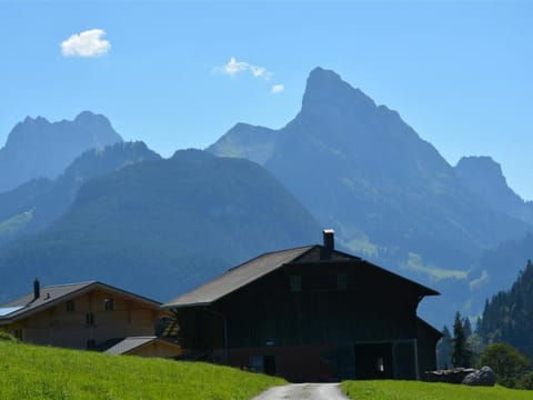 Apartment Anne - Hochparterre by Interhome Apartment in Saanen