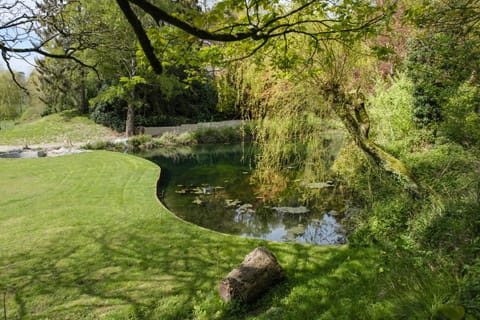 Day, Garden, Garden view, Lake view