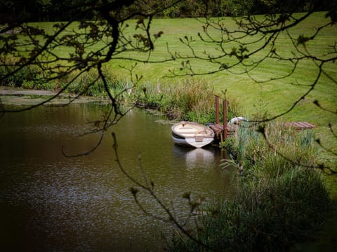 Activities, Garden, Lake view