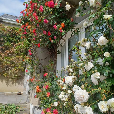 Garden, Garden view