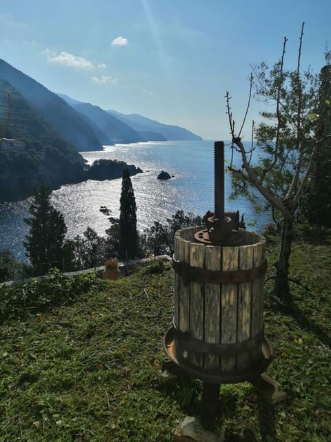 La casa di Mattia Apartment in Monterosso al Mare