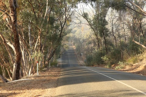 Day, Neighbourhood, Natural landscape, Street view, Quiet street view