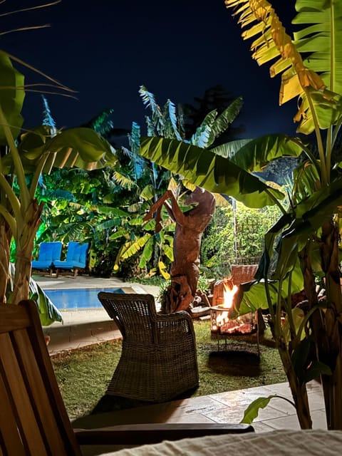 Patio, Night, Garden, Garden view