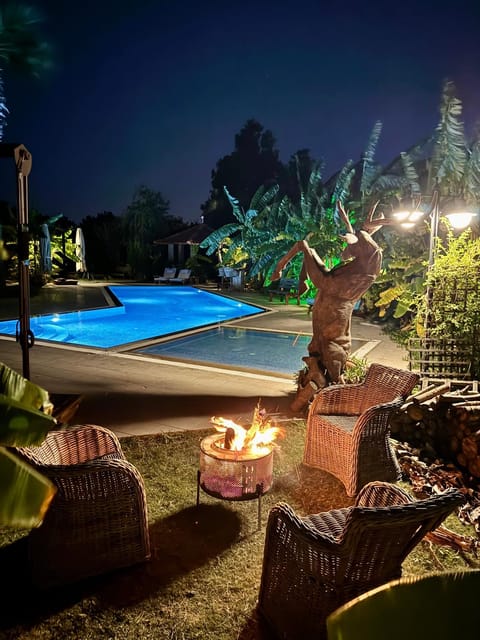 Night, Natural landscape, Garden, Garden view, Pool view, Swimming pool