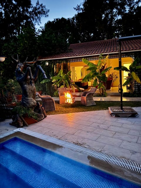 Patio, Night, Garden, Garden view