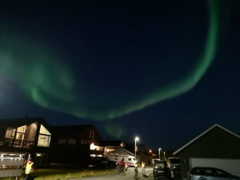 Night, Neighbourhood, Natural landscape, Street view