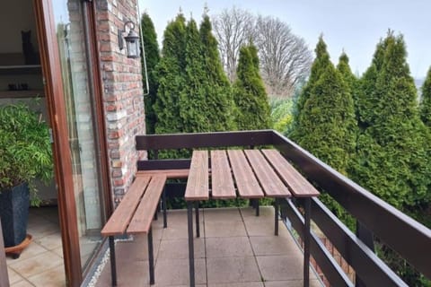 Eifel Kaminhaus Villa in Rhineland-Palatinate