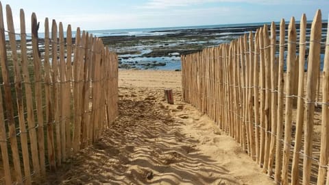 Natural landscape, Beach