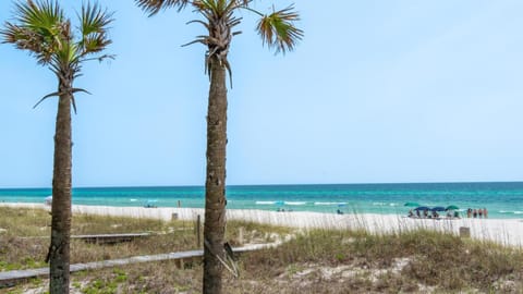 Natural landscape, Beach, Sea view