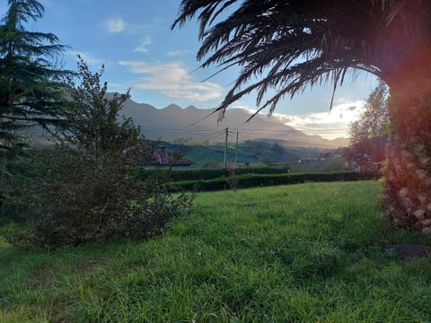 Natural landscape, Garden, Mountain view, Sunset