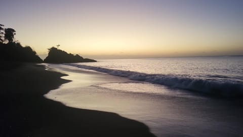 On the Beach Apartment in Western Tobago