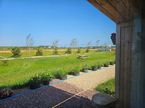 Day, Garden, Garden view