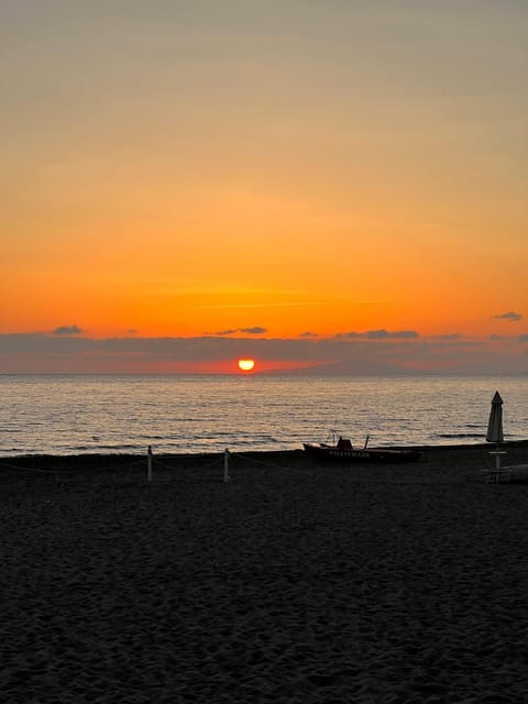 Natural landscape, Beach, Sunset