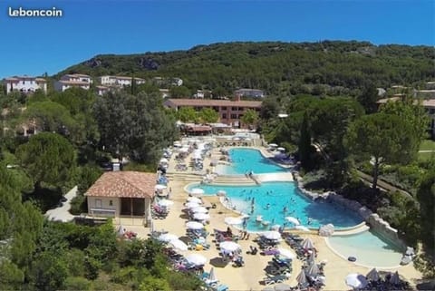 Natural landscape, Garden, Pool view