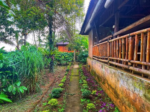 Property building, Garden, Garden view