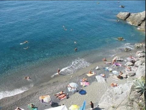 Day, Natural landscape, Beach, group of guests