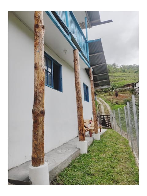 Property building, Garden view