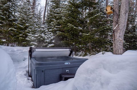 Renard de Charlevoix - detente en foret avec spa Chalet in Baie-Saint-Paul