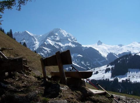 5-Zimmerwohnung Zentral und nahe den Skipisten Apartment in Adelboden