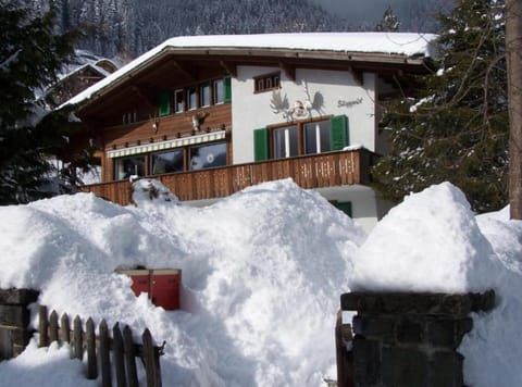 5-Zimmerwohnung Zentral und nahe den Skipisten Apartment in Adelboden