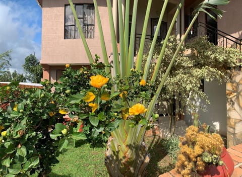 Peakline Apartments Apartment in Arusha