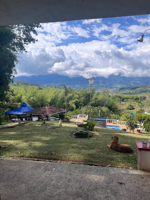 Natural landscape, Mountain view, Pool view