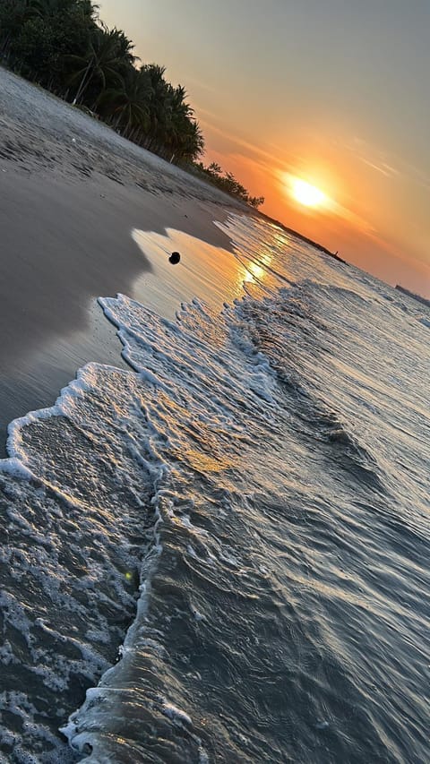 Beach, Sea view, Sunset