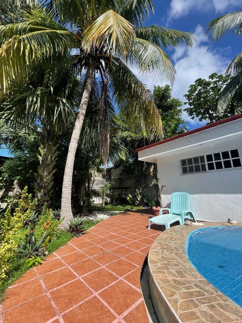 Garden, Garden view, Swimming pool, Swimming pool