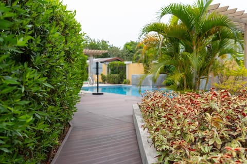 Garden, Pool view, Swimming pool