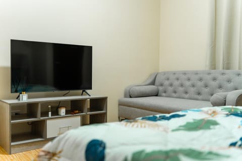 Bed, TV and multimedia, Living room, Photo of the whole room, Seating area, Evening entertainment, Bedroom