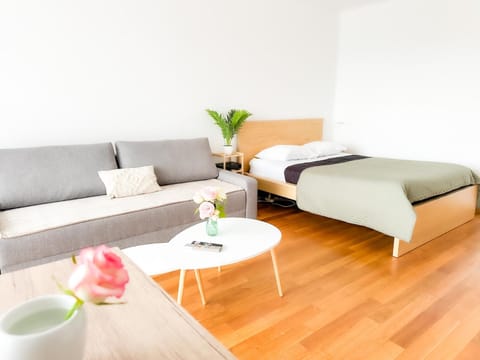 Bao Anh-TiamConciergerie, gare Joinville Apartment in Paris