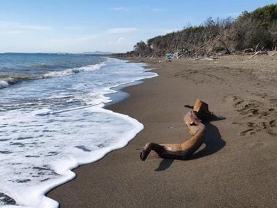 Natural landscape, Beach, Sea view