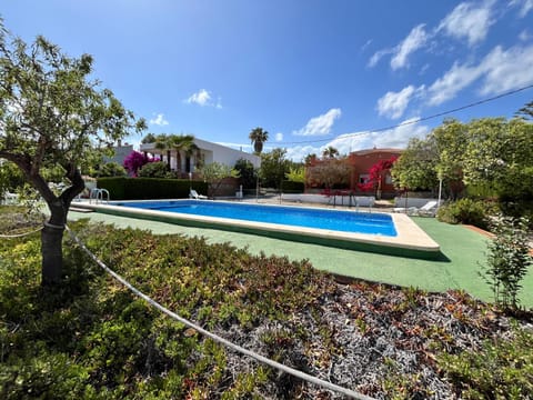 Spring, Day, Natural landscape, Garden, Garden view, Pool view, Swimming pool