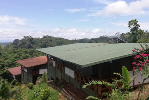 APU-NAPO Lodge Reserva Nature lodge in Napo, Ecuador