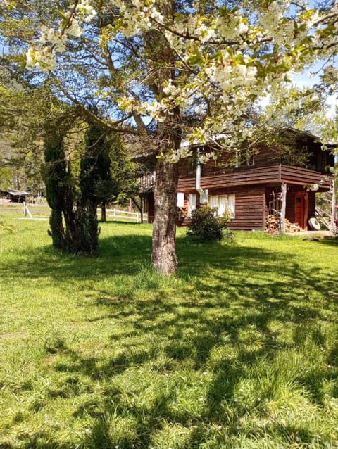 El Trebol House in Pucon