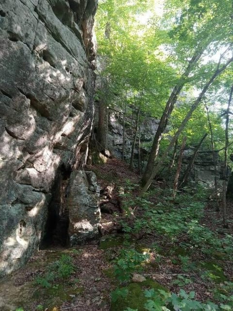 Baca Cabin Near Compton, Ponca, Buffalo River, Trails Casa in Buffalo River