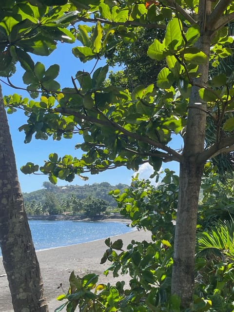 View (from property/room), Beach, Sea view