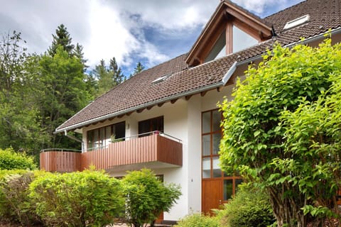 Ferienwohnung Am Mehlberg Apartment in Hinterzarten