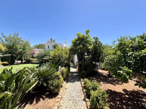 Patio, Garden, Garden view