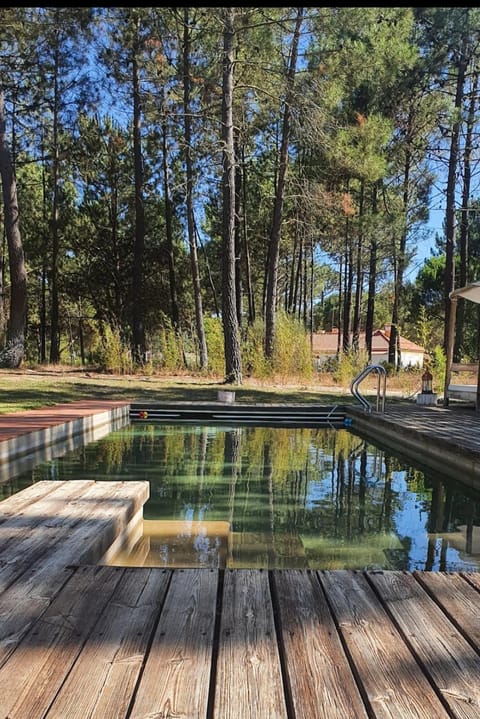 Property building, Living room, Swimming pool