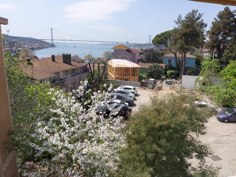 Breathtaking Bosphorus View Amidst Green Hills Apartment in Istanbul