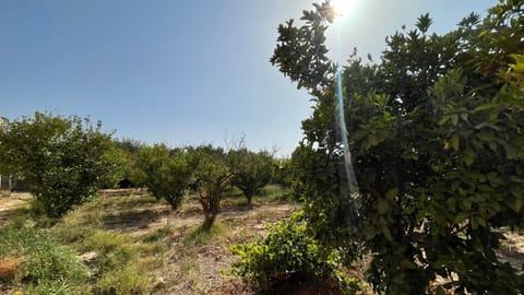 Oasis de Sérénité - Villa Spacieuse avec Jardin Villa in Souss-Massa