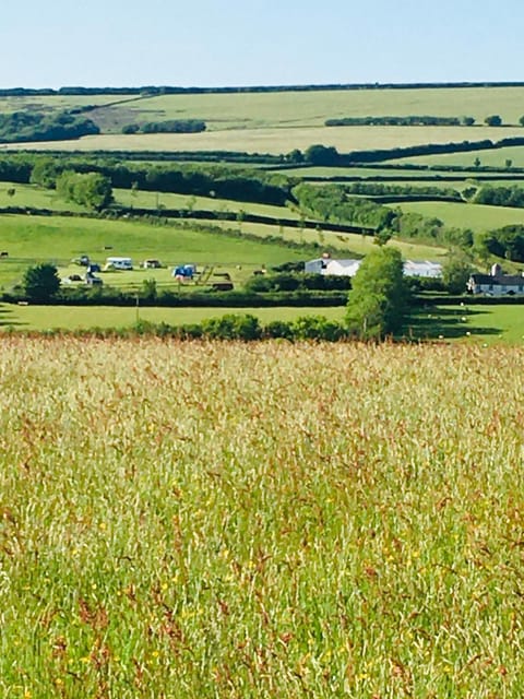 Property building, Natural landscape