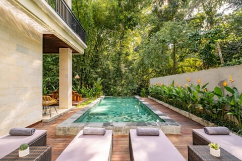 Pool view, Swimming pool